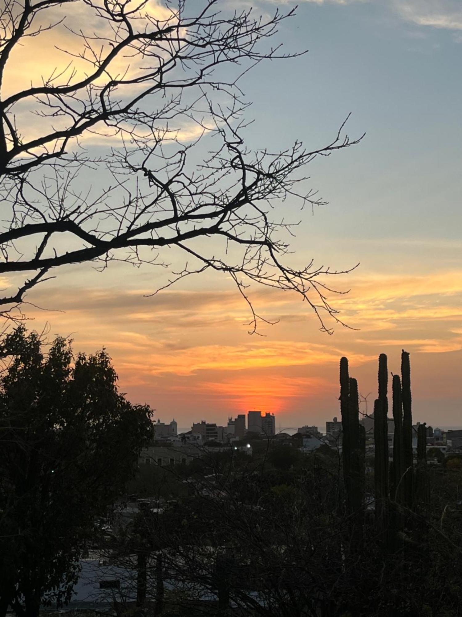 Jardin Etnobotanico Villa Ludovica Santa Marta  Bagian luar foto