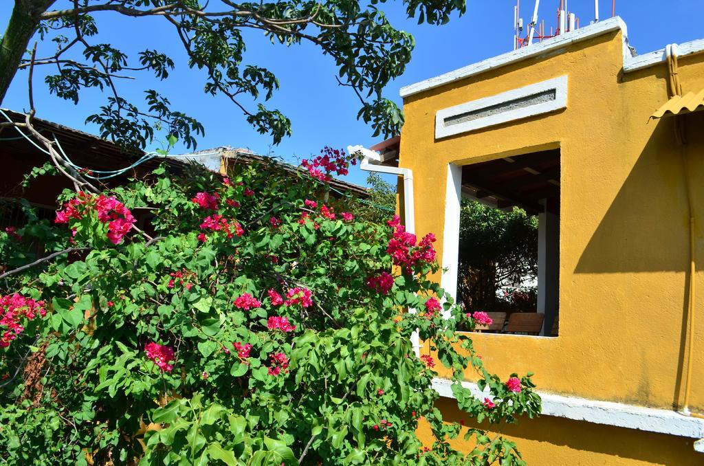 Jardin Etnobotanico Villa Ludovica Santa Marta  Ruang foto