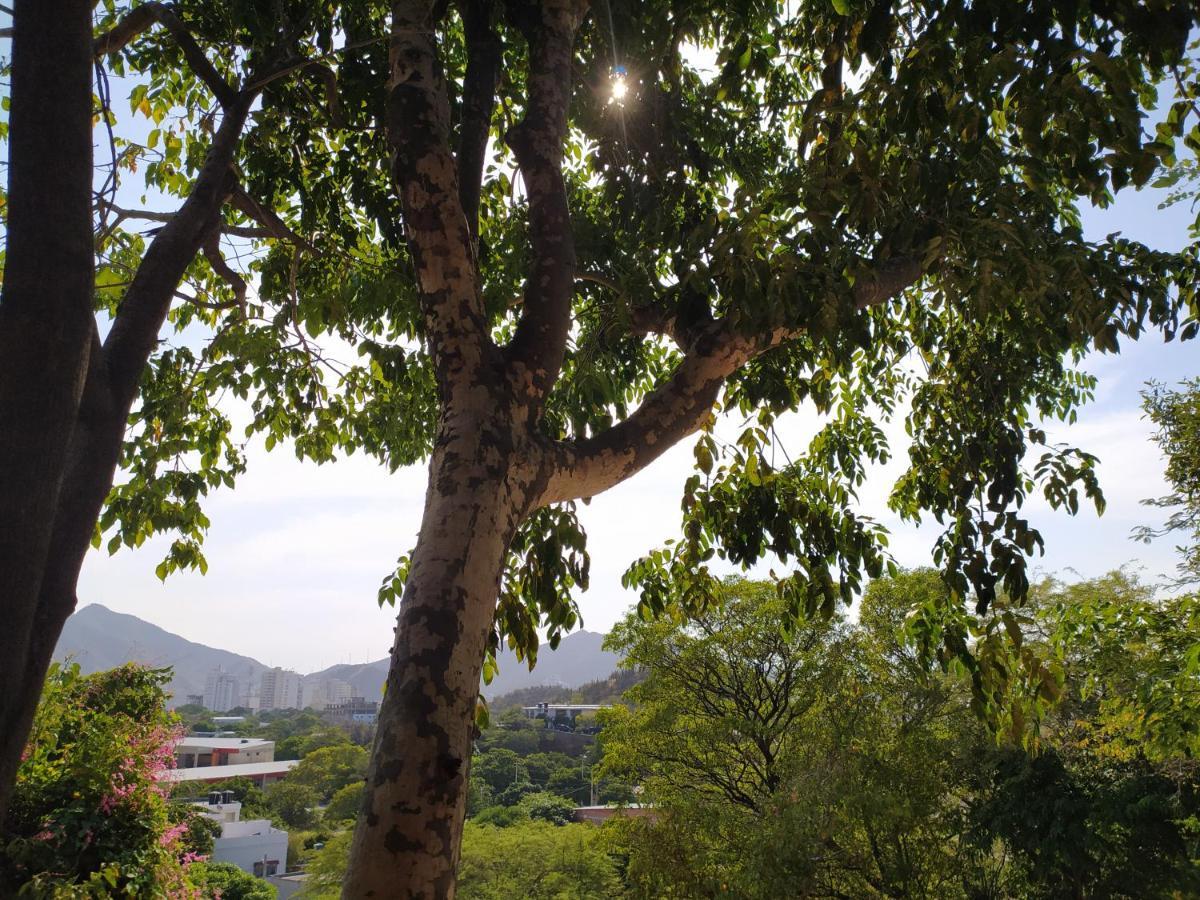 Jardin Etnobotanico Villa Ludovica Santa Marta  Bagian luar foto