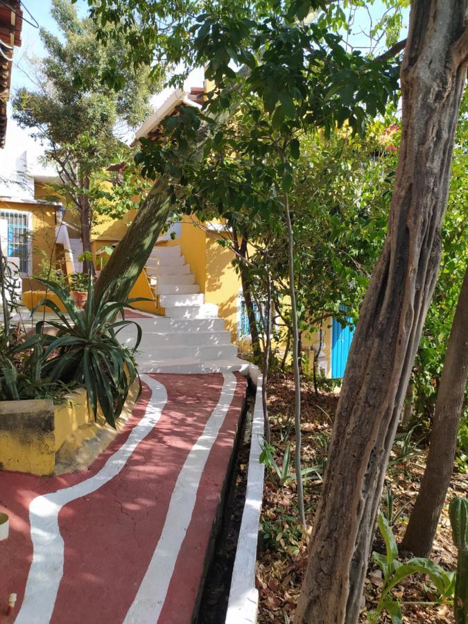 Jardin Etnobotanico Villa Ludovica Santa Marta  Bagian luar foto